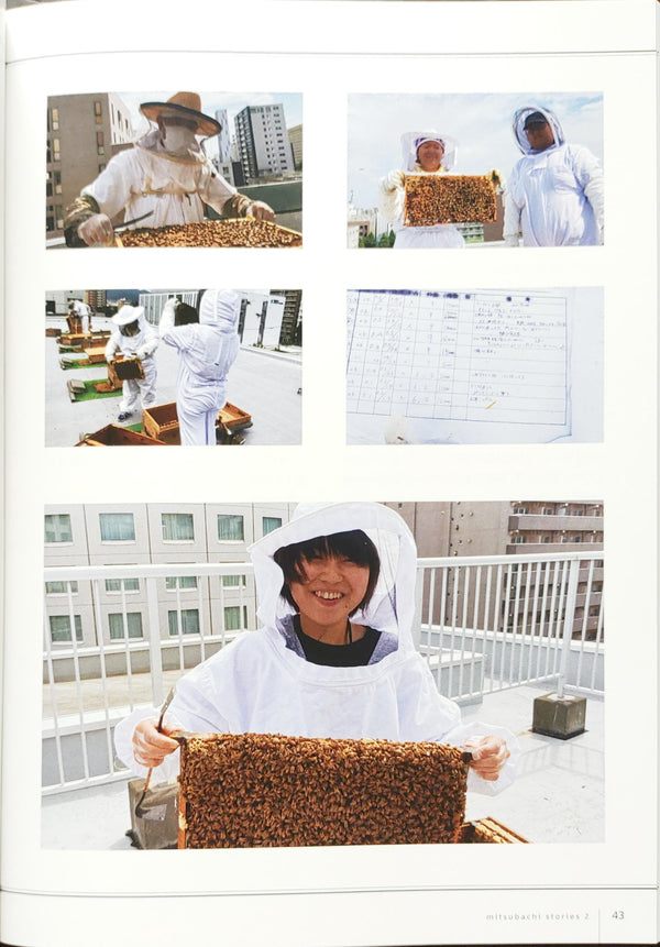 養蜂とハチミツの販売を始めたお話し